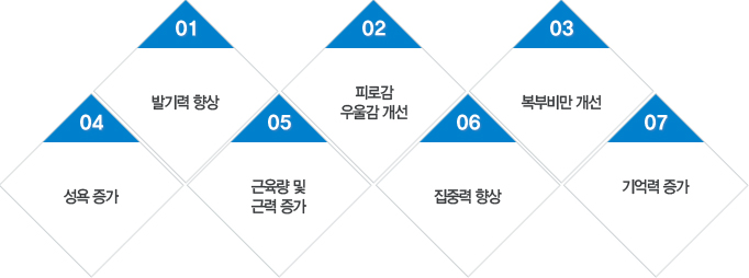 발기력 항상, 피로감 우울감 개선, 복부비만 개선, 성욕 증가, 근육량 및 근력 증가, 집중력 항상, 기억력 증가